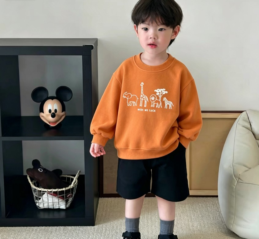 Baby Kids Casual Sweatshirt Wi - Baby Zebra Clothing 评论和价格